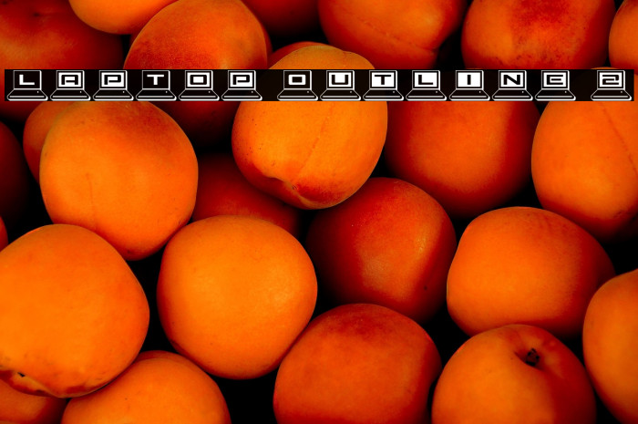 LapTop Outline 2 Example 3