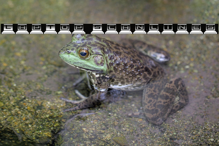 LapTop Scanlines Example 2