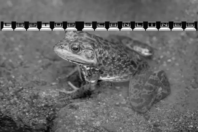 LapTop Scanlines Font examples