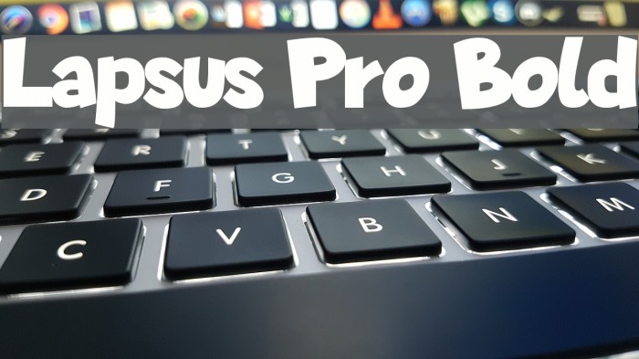 Lapsus Pro Bold Font examples