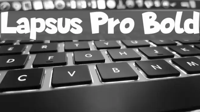 Lapsus Pro Bold Example 2