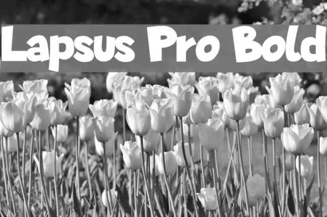 Lapsus Pro Bold Example 3