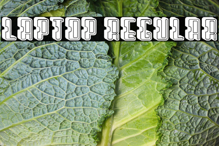 Laptop Regular Example 3