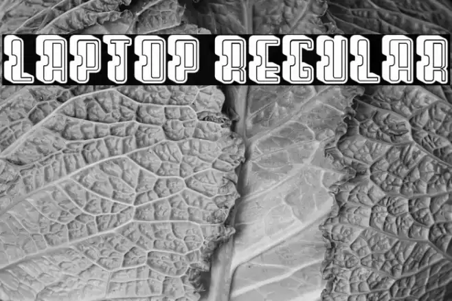 Laptop Regular Font examples