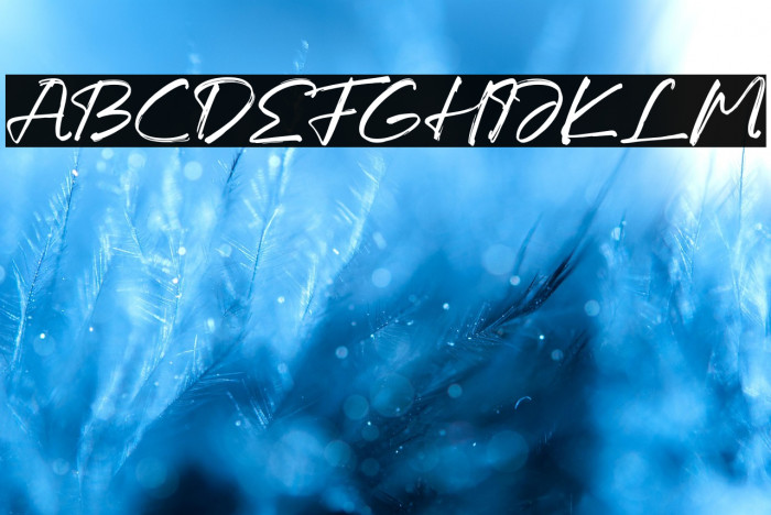 Laquentta Morelly خط examples