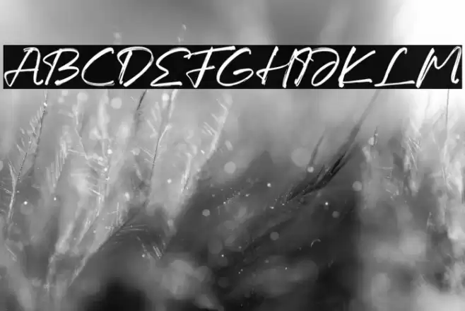 Laquentta Morelly Font examples