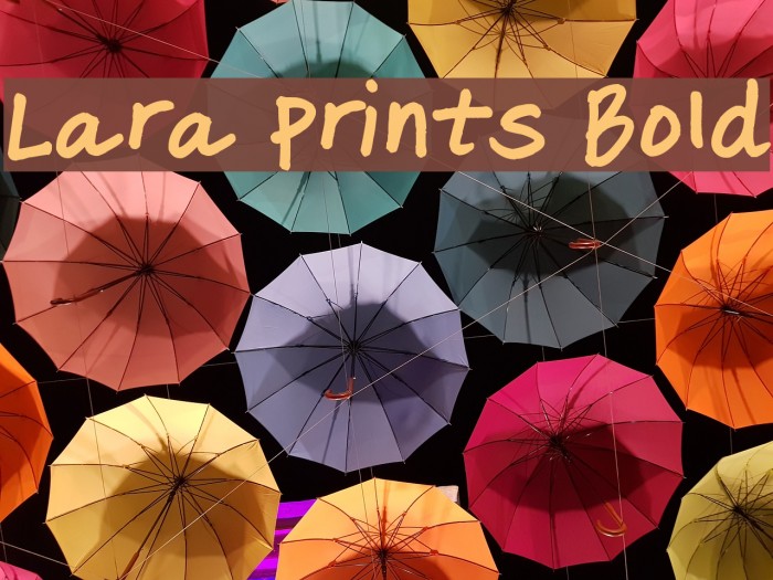 Lara Prints Bold Шрифта examples