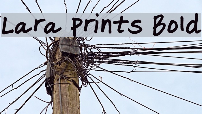 Lara Prints Bold Шрифта examples