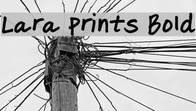 Lara Prints Bold Шрифта examples
