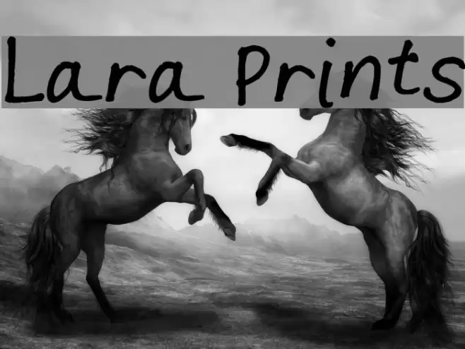 Lara Prints examples