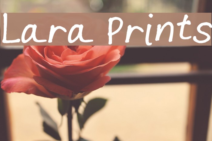 Lara Prints Font examples