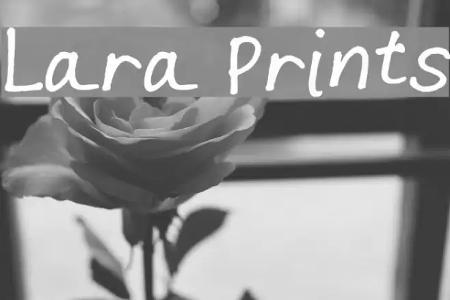 Lara Prints examples