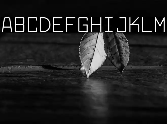 LarabiefontRg-Regular Font examples