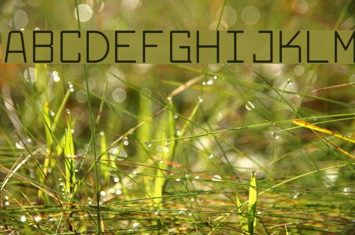 Larabiefont Font examples