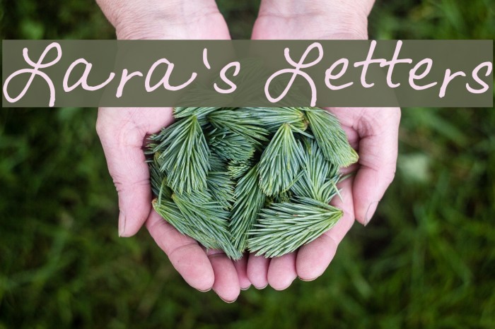Lara's Letters Font examples
