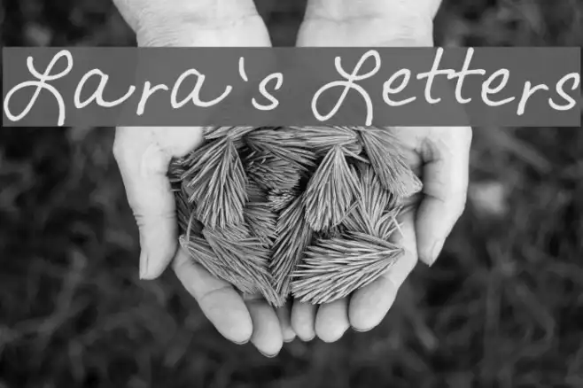 Lara's Letters Example 2