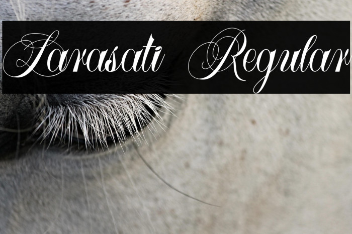 Larasati Regular Example 2