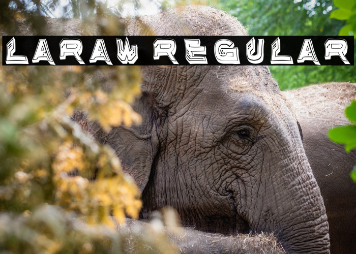 Laraw Regular Example 2