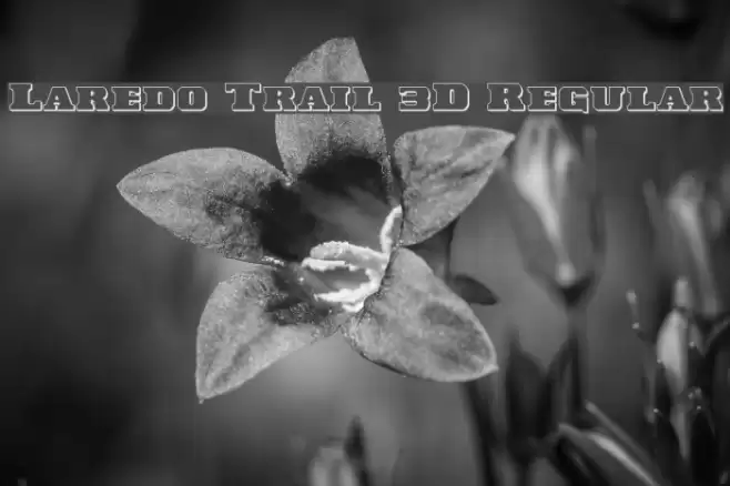 Laredo Trail 3D Regular Font examples