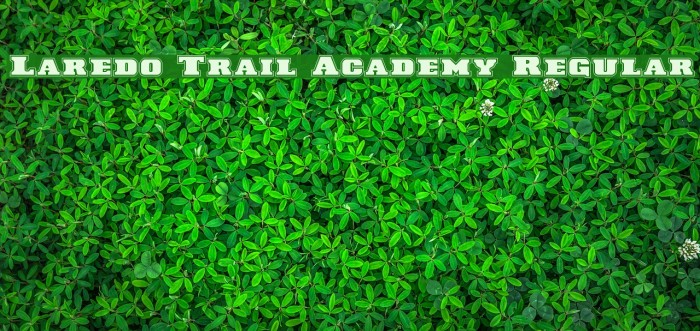 Laredo Trail Academy Regular Font examples