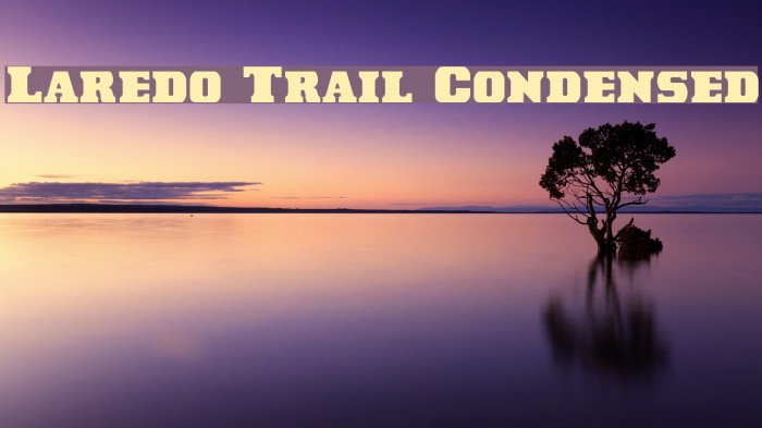 Laredo Trail Condensed Font examples