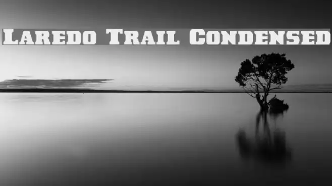 Laredo Trail Condensed Example 2