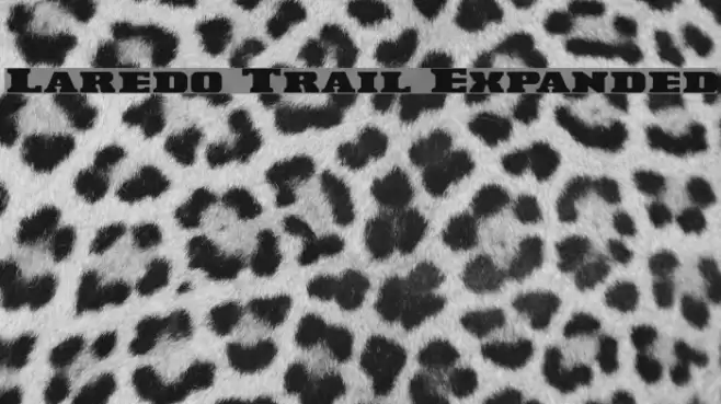 Laredo Trail Expanded Font examples