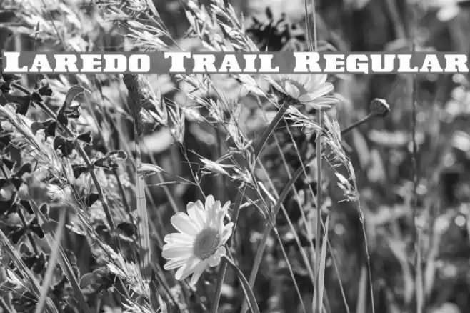 Laredo Trail Regular Font examples
