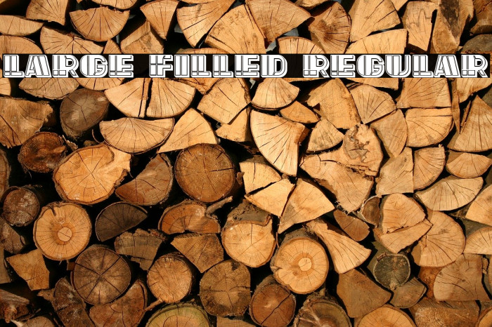 Large Filled Regular Font examples