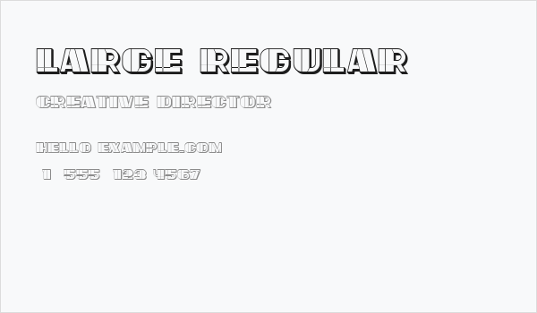 Large Regular Business Card