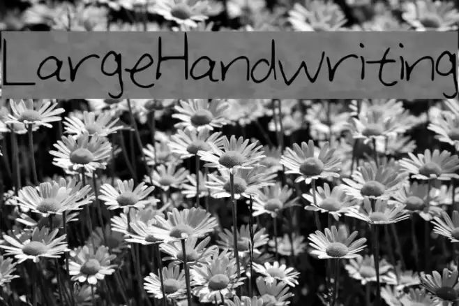 Large_Handwriting Example 3