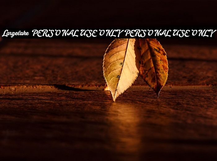 Largelake PERSONAL USE ONLY PERSONAL USE ONLY Example 1