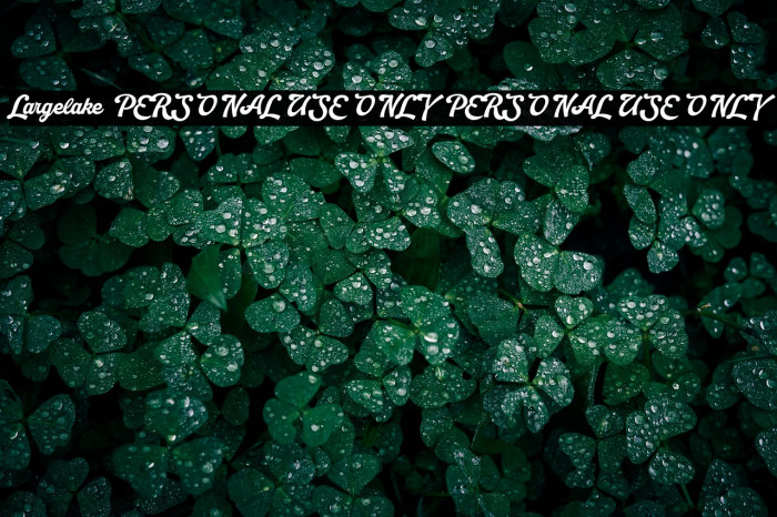 Largelake PERSONAL USE ONLY PERSONAL USE ONLY Example 2