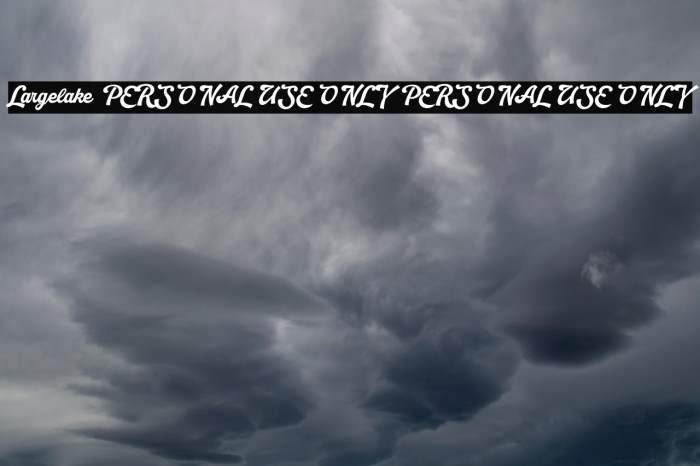 Largelake PERSONAL USE ONLY PERSONAL USE ONLY Example 3