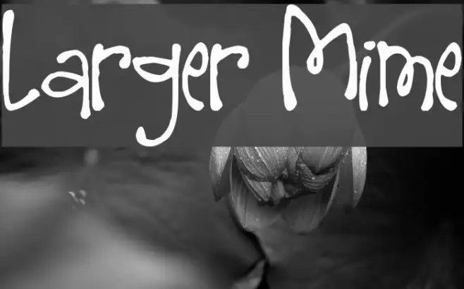 Larger Mime Example 3