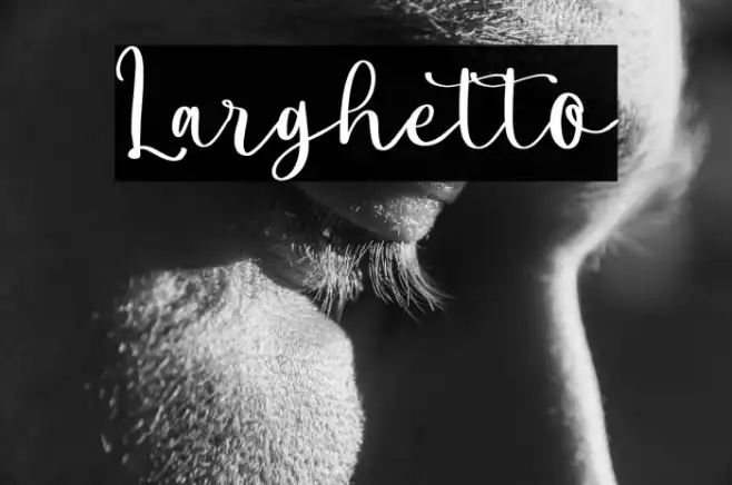 Larghetto Example 3