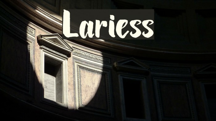 Lariess Font examples