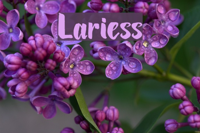 Lariess Font examples