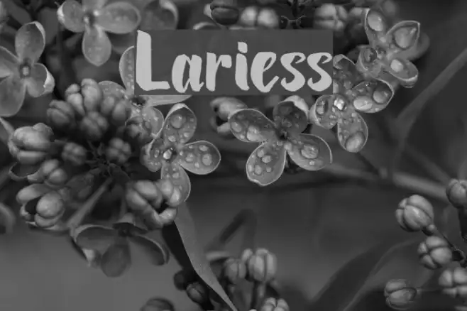 Lariess Example 2