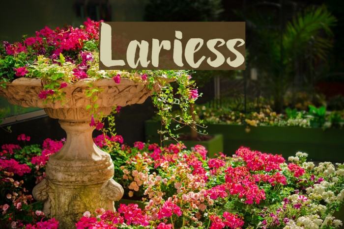 Lariess Font examples