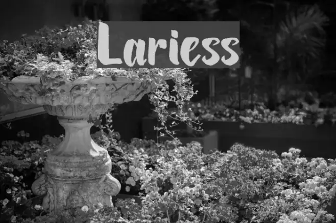 Lariess Example 3