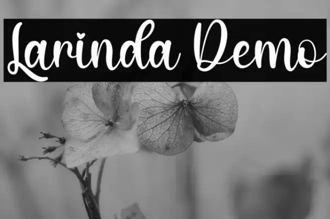 Larinda Demo Font examples