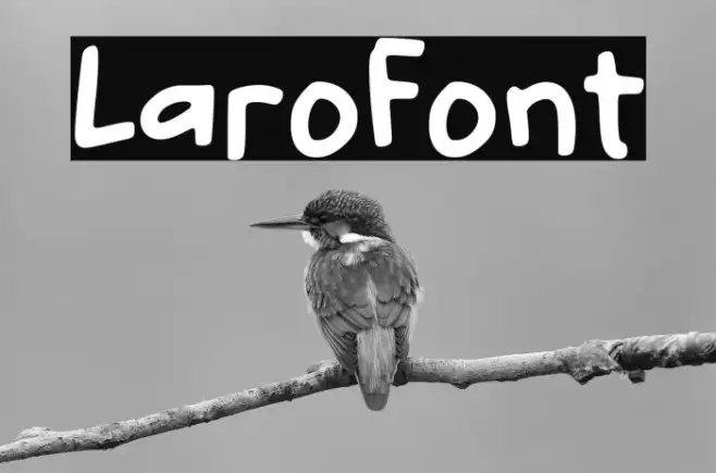 Lario Example 3