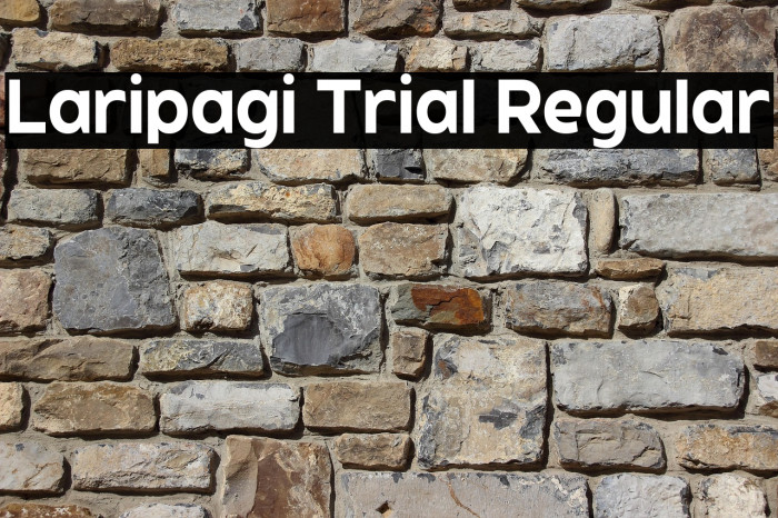 Laripagi Trial Regular Example 2