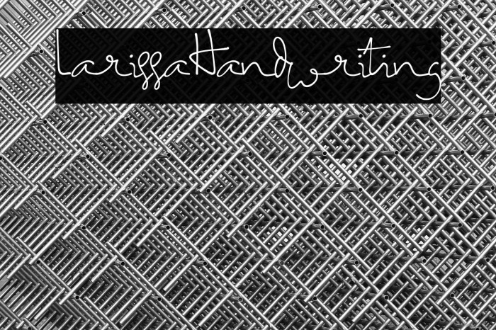 LarissaHandwriting Example 2