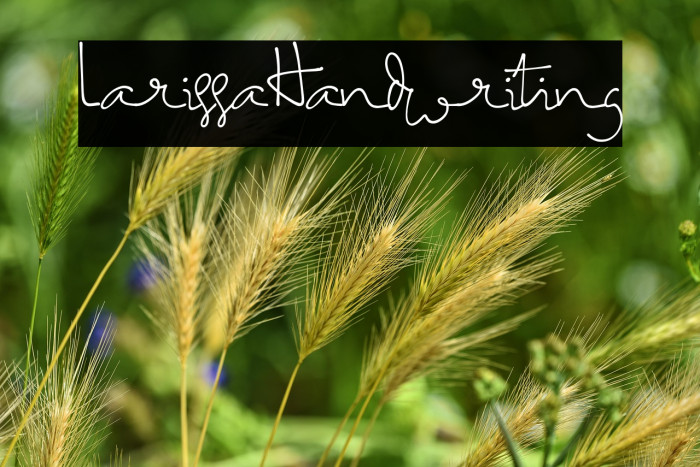 LarissaHandwriting Example 3