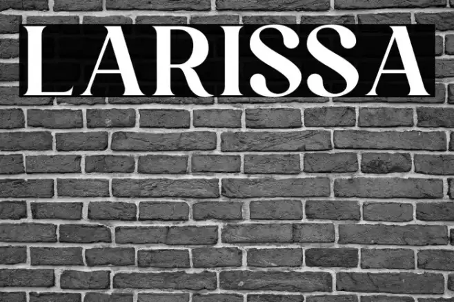 Larissa Example 1