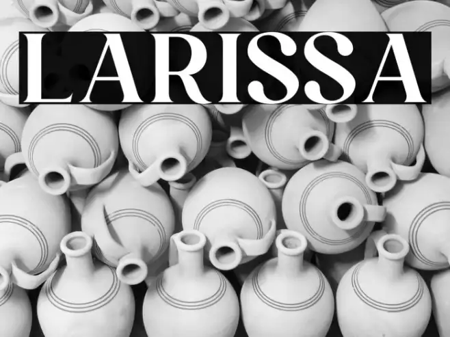Larissa Example 2