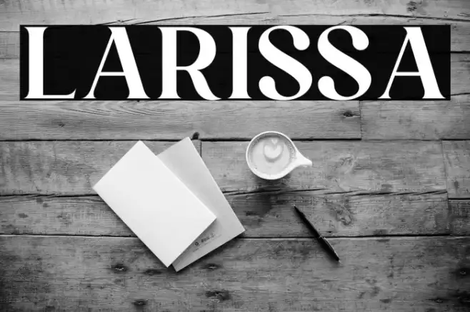 Larissa Example 3