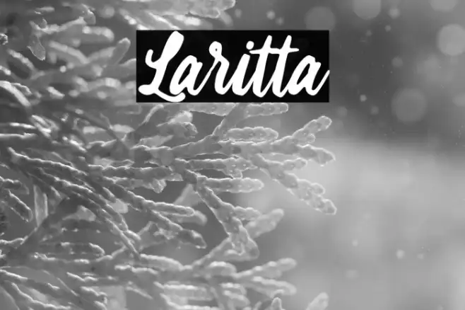 Laritta Example 1